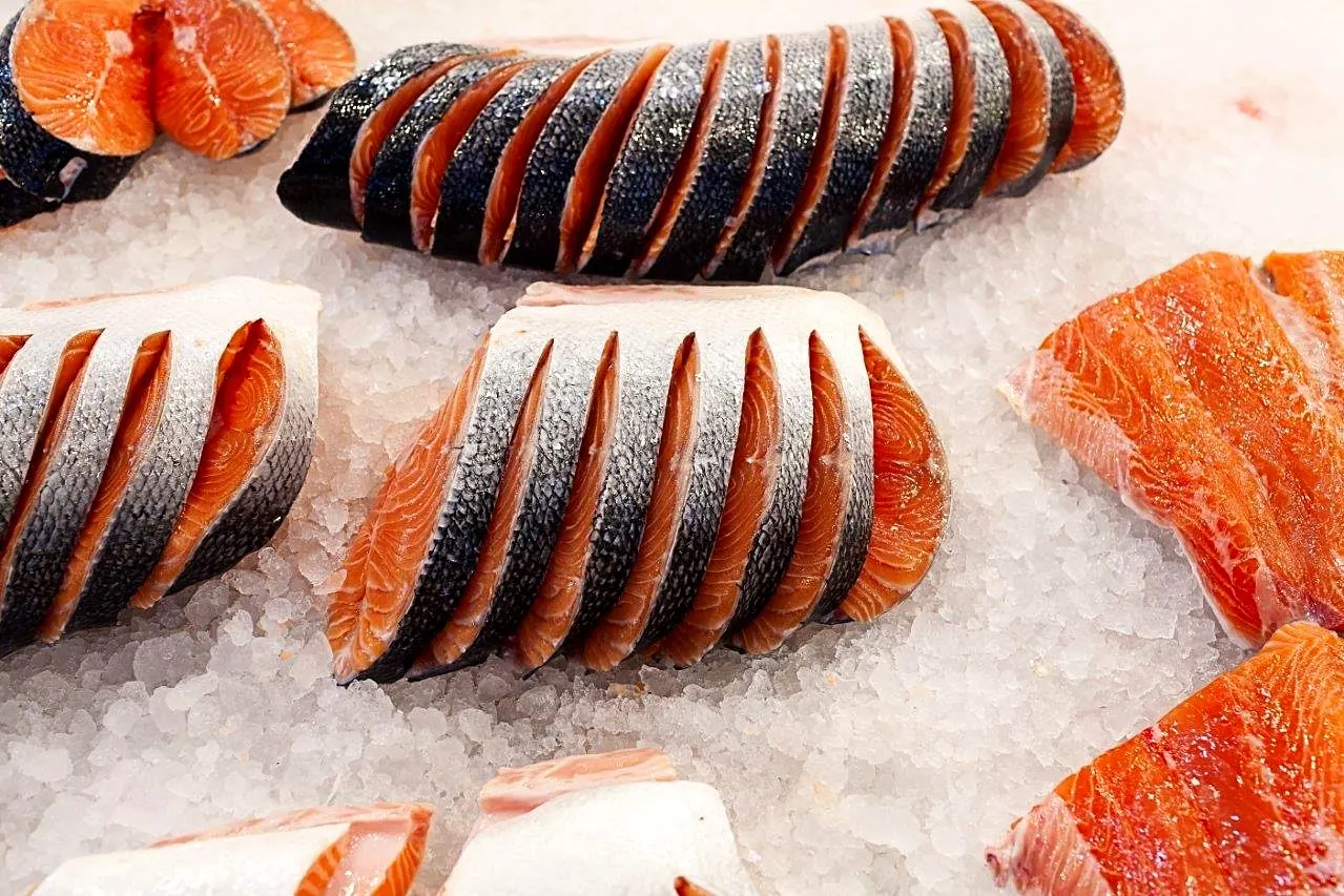 Salmon steaks cut and laid out on crushed ice